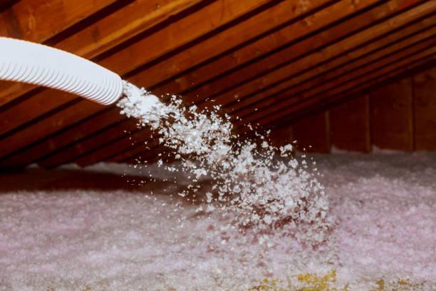 Best Best Insulation Companies  in Woodbine, NJ