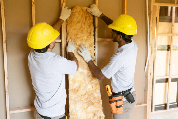 Best Commercial Insulation Contractor  in Woodbine, NJ