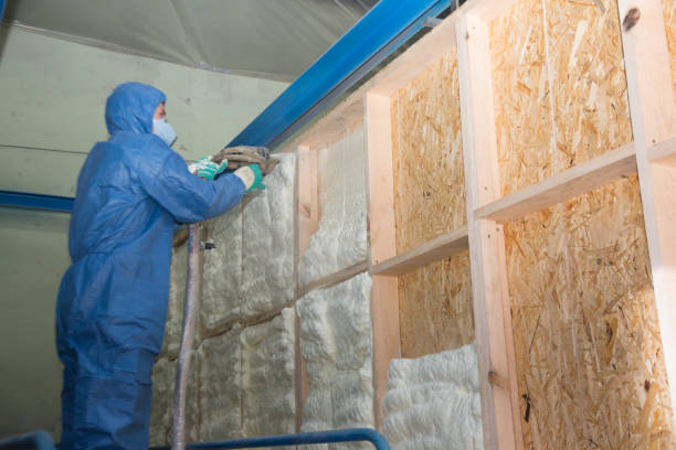 Best Insulation for New Construction  in Woodbine, NJ