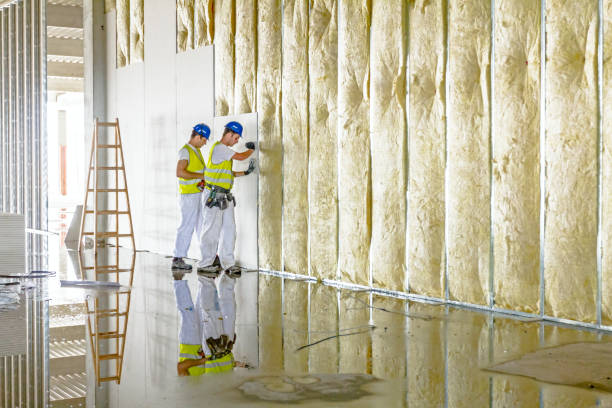 Best Affordable Insulation Services  in Woodbine, NJ